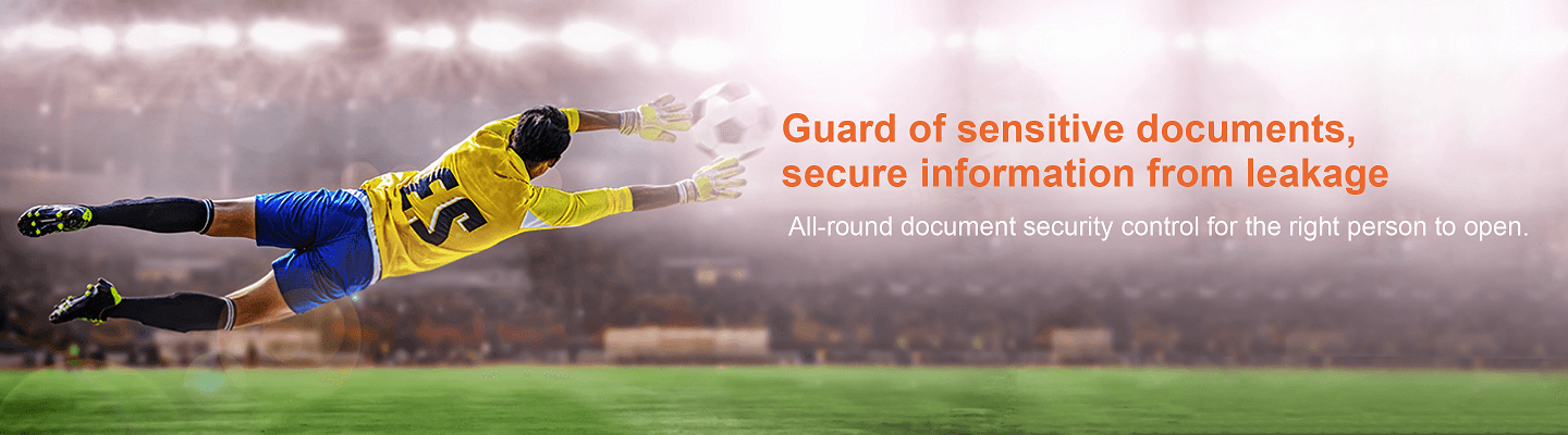 Guard of sensitive documents, secure information from leakage